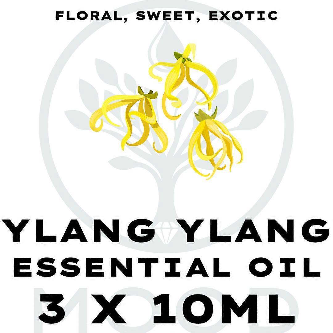 Ylang Ylang Essential Oil 3 X 10ml Multipack