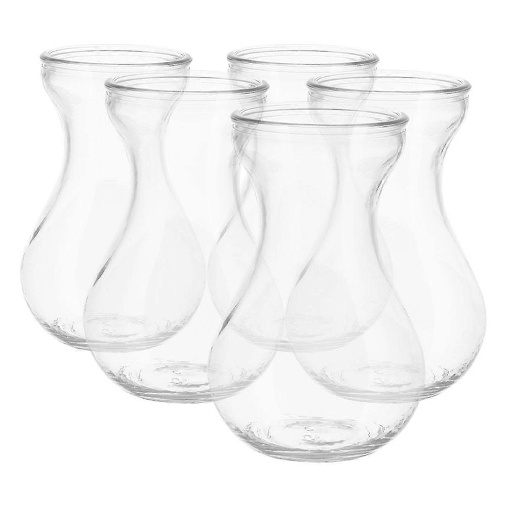 Hydroponic Glass Vase for Plants Desktop Decoration 10Pcs Pack