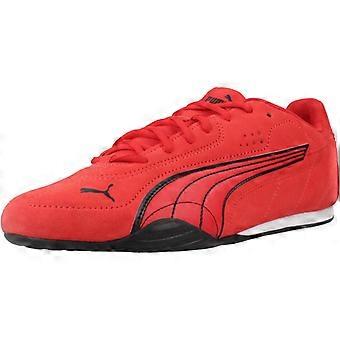 Puma Sport / Puma Catch Sd Sneakers