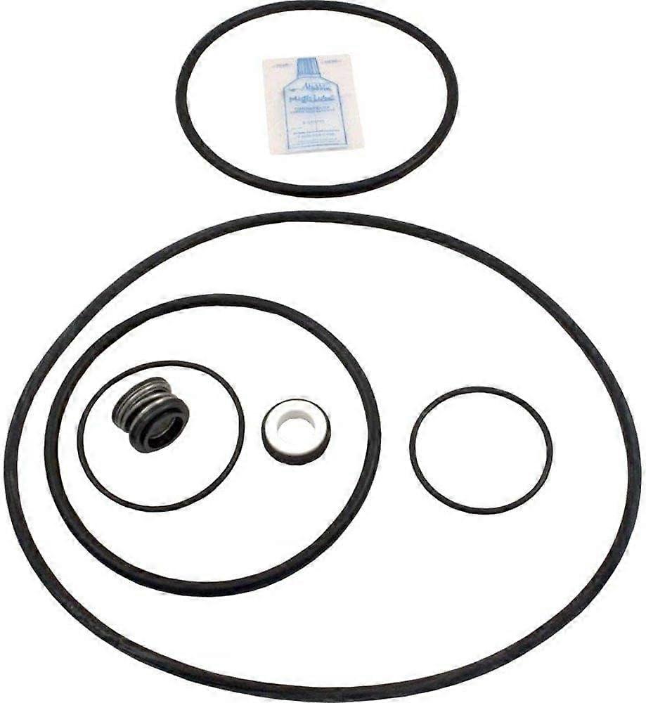 Pool Pump Seal Kit White Replacement for Challenger with Direct Fit and Easy Installation