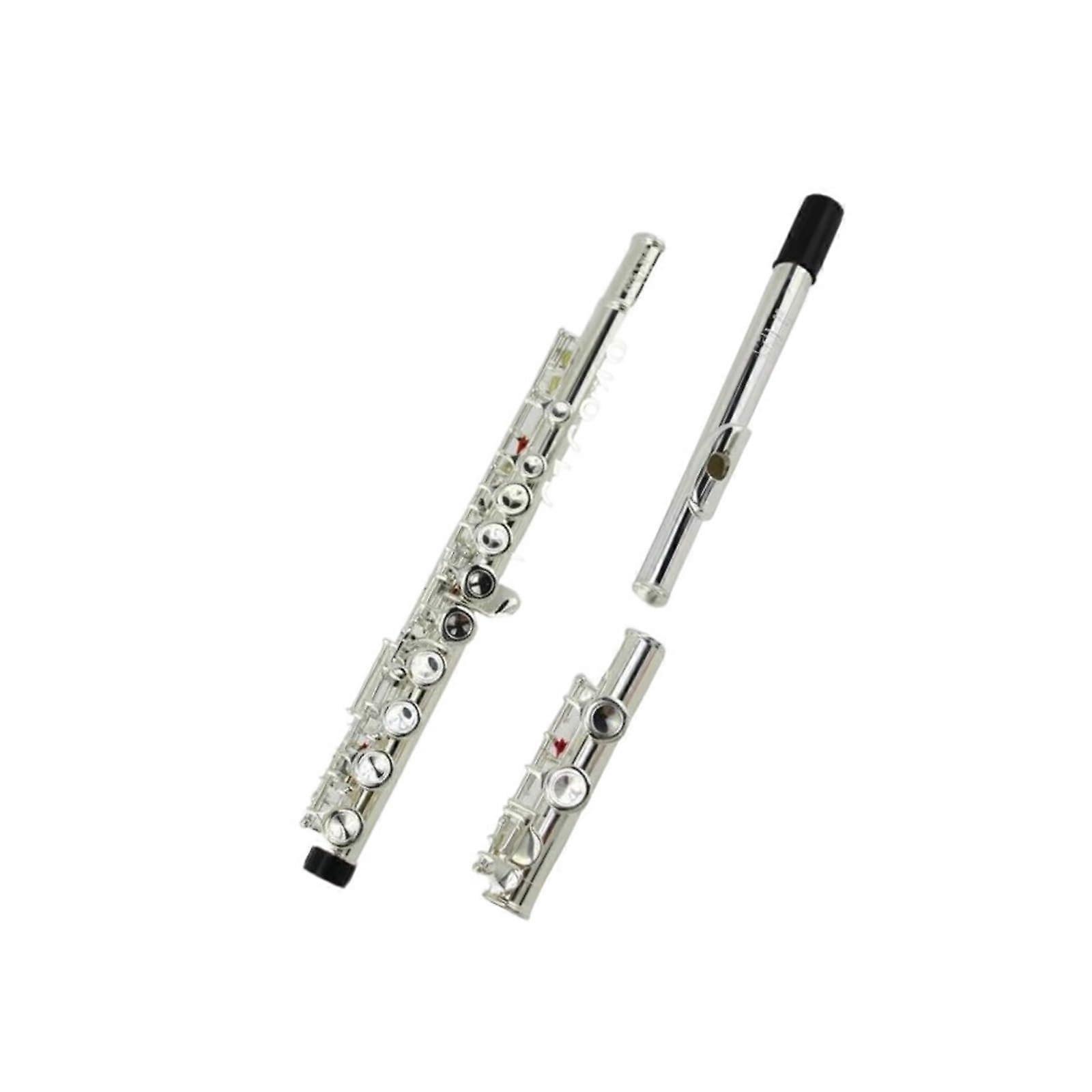 Flute C Key 16 Hole Silver Plated BeginnerFriendly Closed Holes with Case for Students