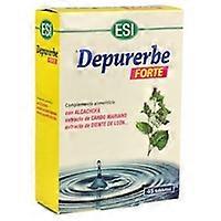 Depurerbe Forte 45 tablets