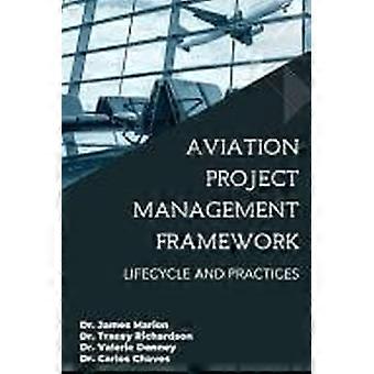 Aviation project management framework lifecycle and practices