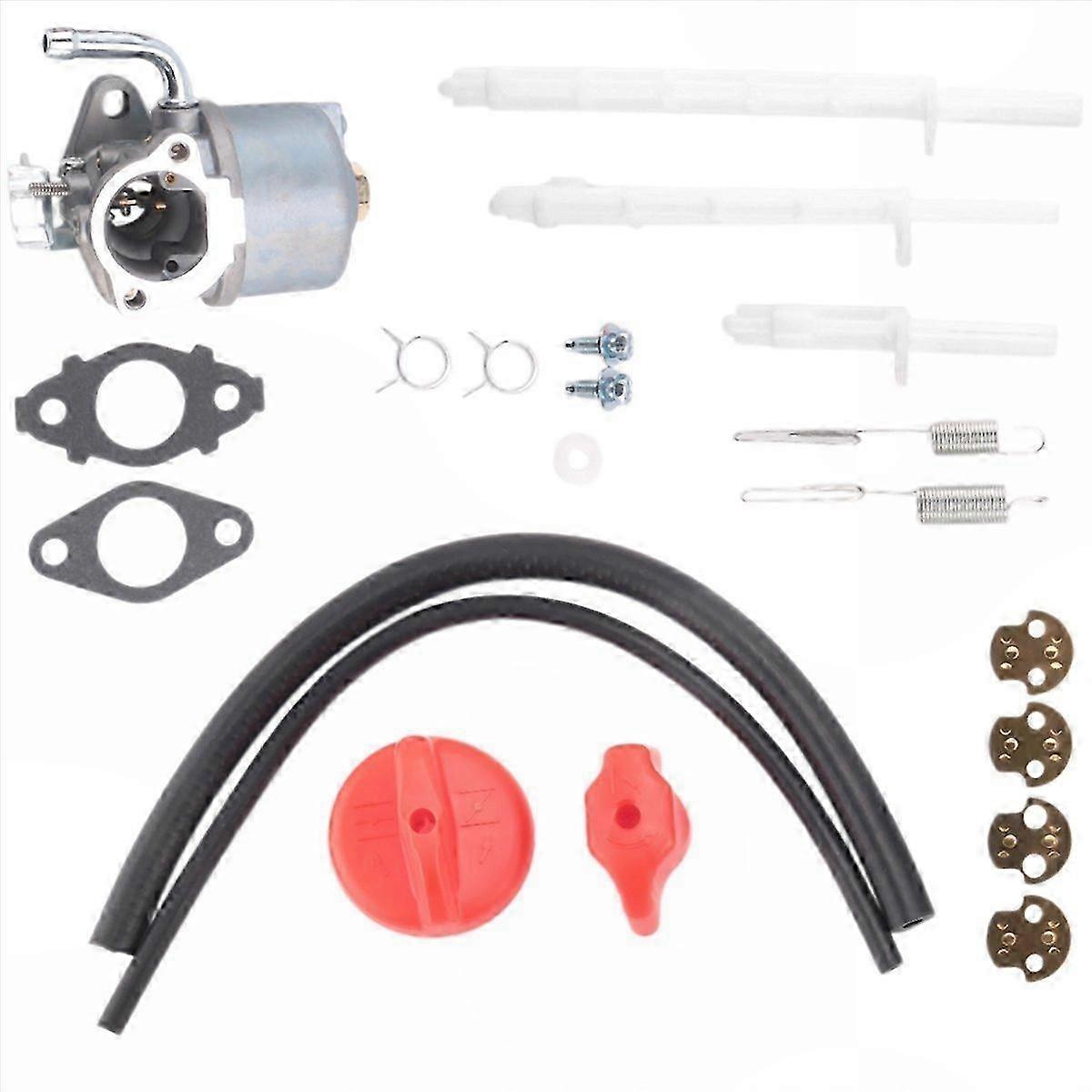 Direct Replacement Snow Blower Carburetor Kit Compatible with Stratton 790558 12A000 (Includes 798917)