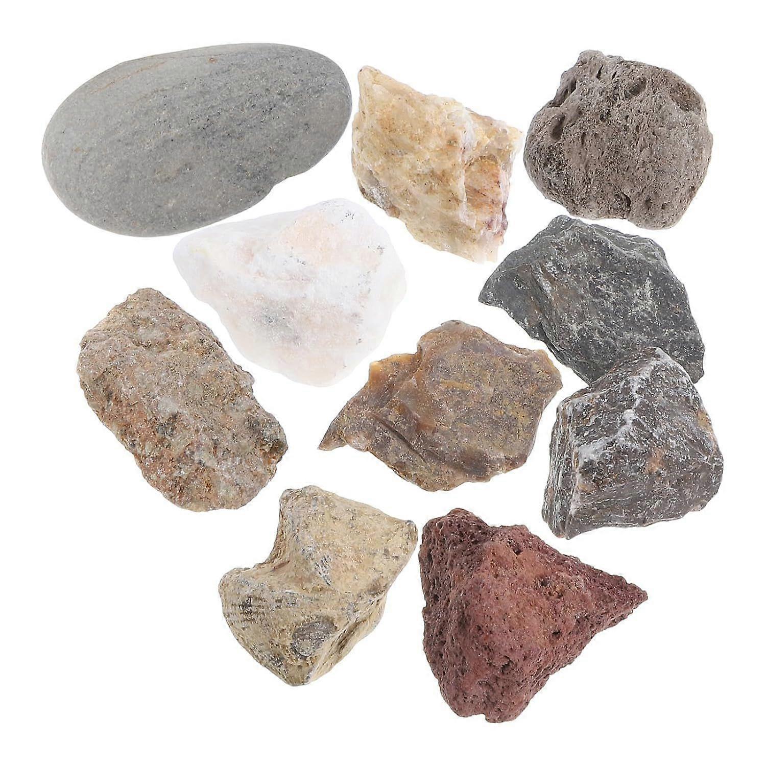 Rock Mineral Collection Stone Plastic Teaching