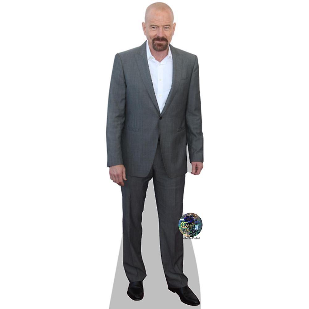 Bryan Cranston (Grey) Cardboard Cutout (life size OR mini size). Standee. Stand Up.