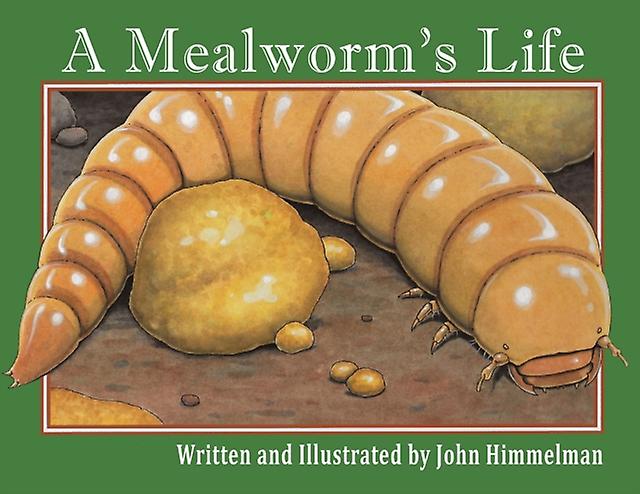 A Mealworm's Life by John Himmelman Paperback