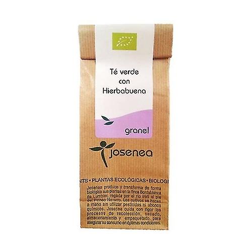 Green Tea with Peppermint Bag 50 g