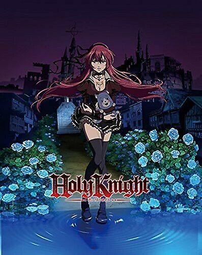 Holy Knight [DVD] [2015] [Region 1] [NTS DVD