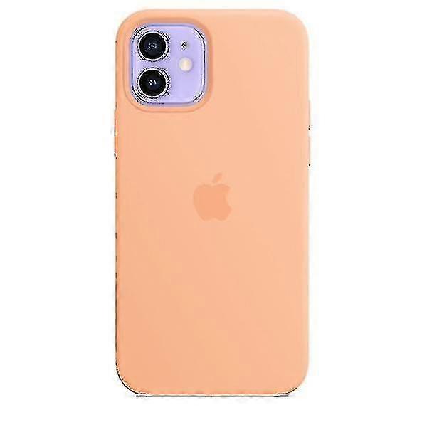 Crystal Phone Case with Magsafe for Iphone 12 & 12 Pro