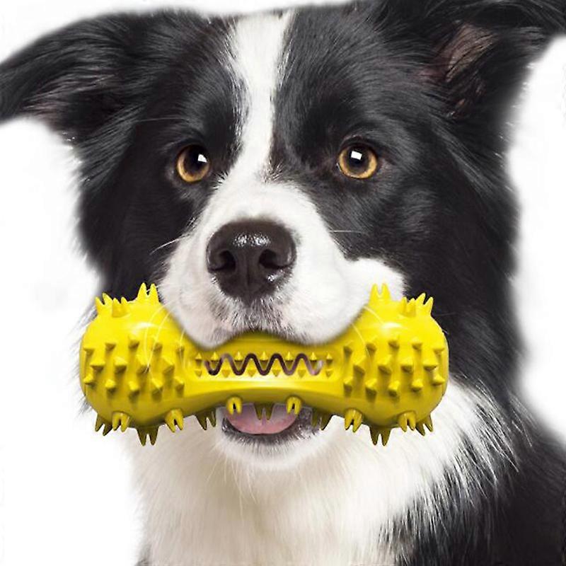 MIMIGO Dog Toys Chew Toothbrush Teeth Cleaning Squeaky Bone Stick Toy Tough Durable Natural Rubber Dental Toys for Aggressive Puppy Medium Large Dog B