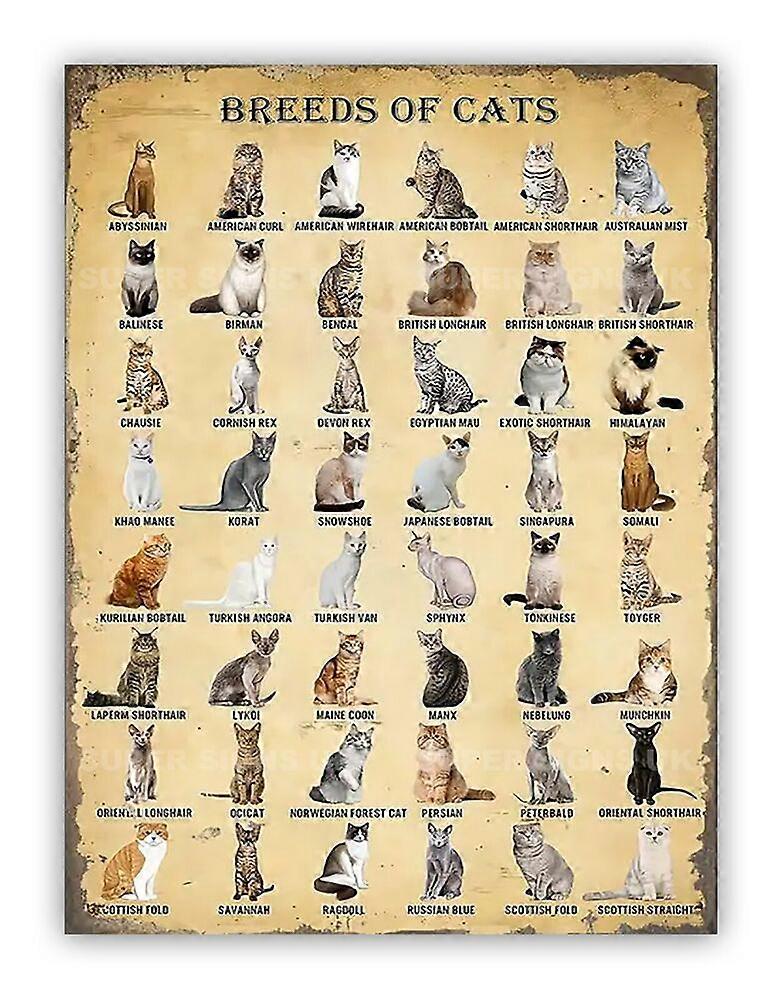 Cat Breeds Hliníkový kovový mazlíček na zeď Cedule Mode-47