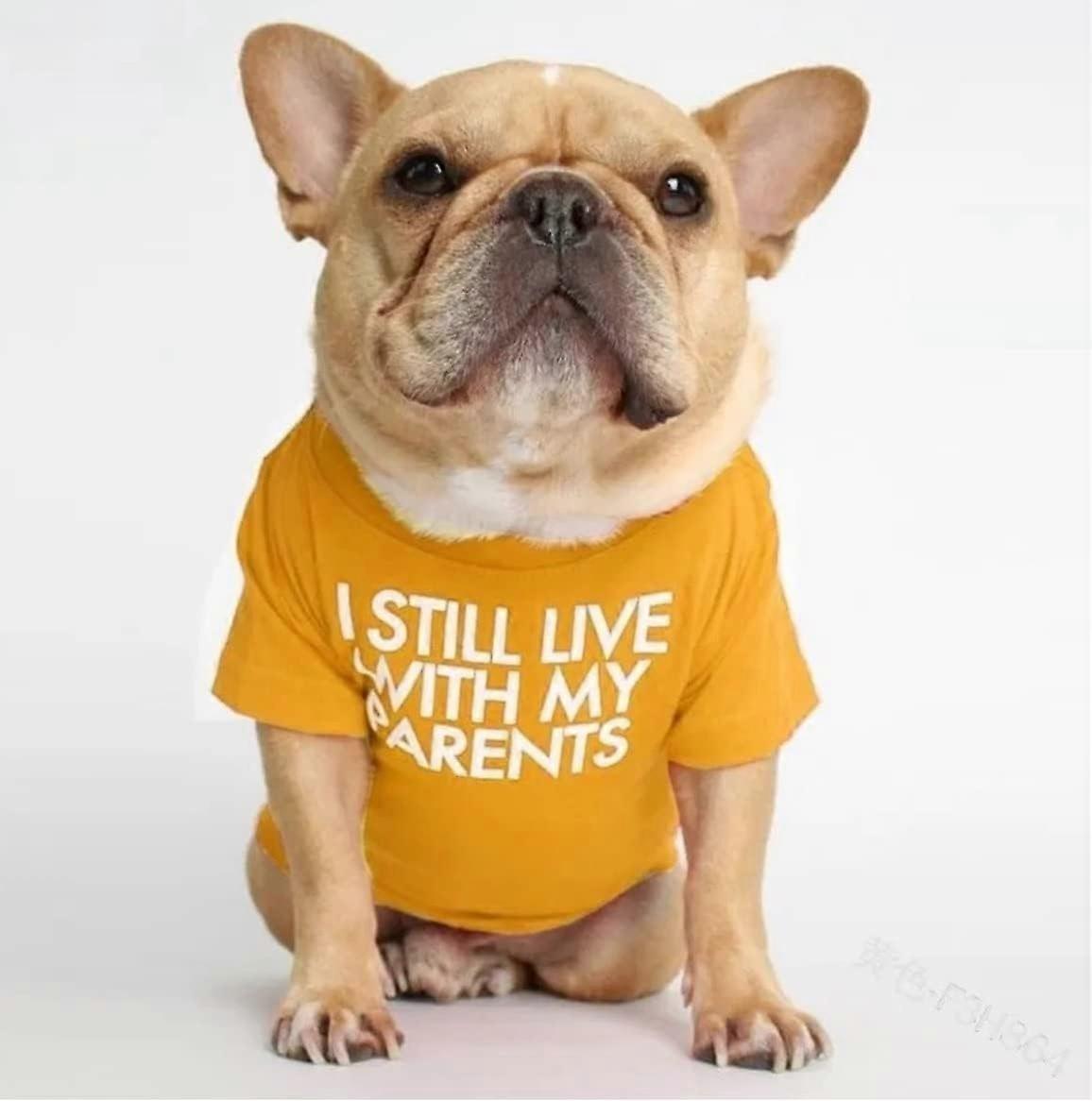 私はまだ家族がプリントした犬のTシャツ、面白いペットの犬のベストの服、通気性のある猫のシャツ(x-large)と一緒に住んでいます