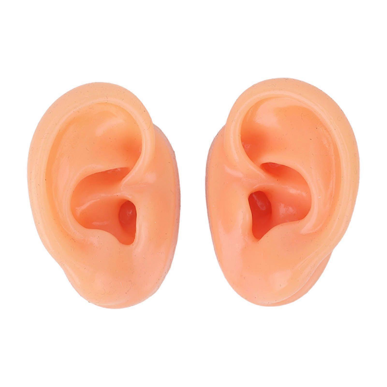 Silicone Ear Model Human Artificial Ear Display for Hearing Aids IEM Earphones Display Lecturing