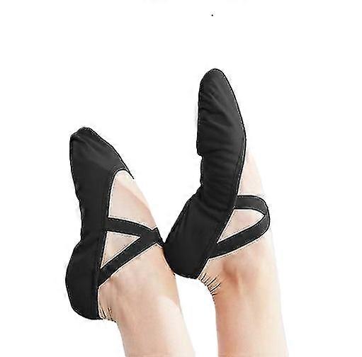 Womens Professional  Soft Sole Ballet Dance Shoes