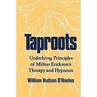 Taproots: Grundprinzipien von Milton Erickson's Therapie und Hypnose (Ein Norton Professional Book)