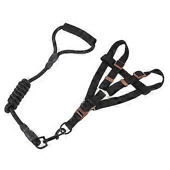 Dog Harness Kit with Leash for Outdoor Walking 5Sets Pack