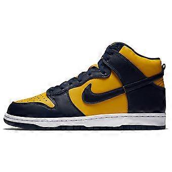 Nike Dunk High Michigan 2020 CZ8149-700