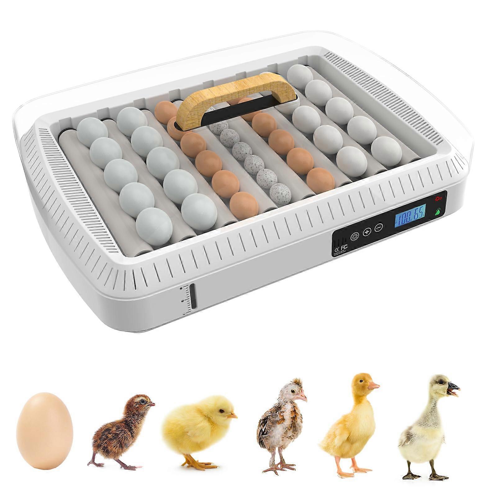 Automatic 36 Egg Incubator with Turning, Humidity Control and Digital Temperature Display for Hatching