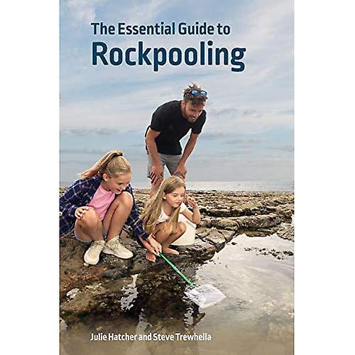 La guía esencial para rockpooling