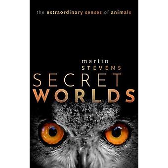 Secret Worlds - Stevens, Martin