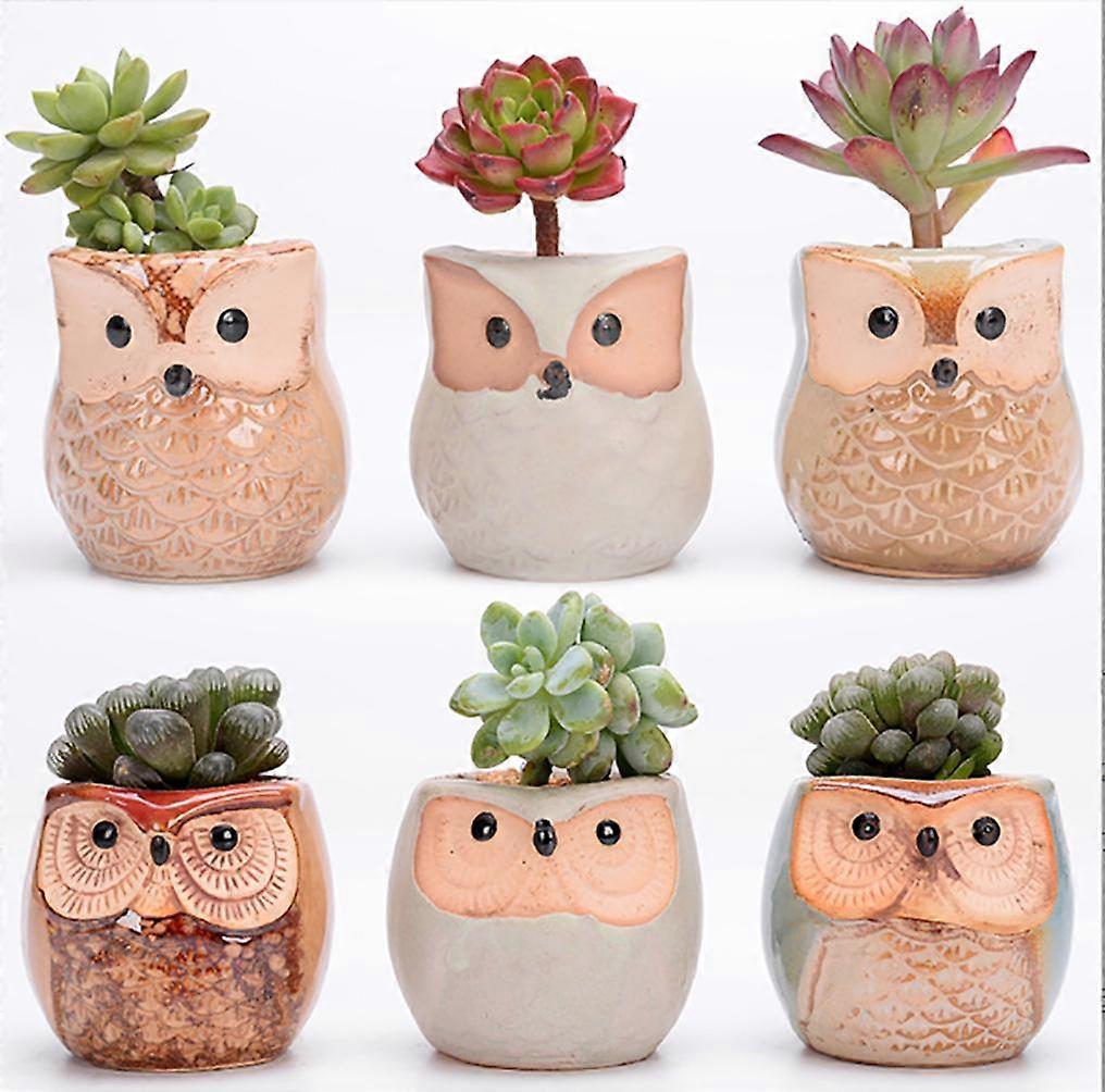 6 PCS Cute Owl Flower Pots