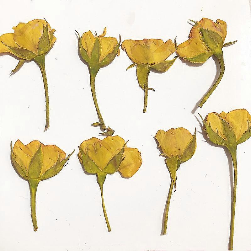 12pcs/3-5cmSide pressed pink yellow red mini rosedried flower DIY glue dripping phone case photo frame bookmark card material