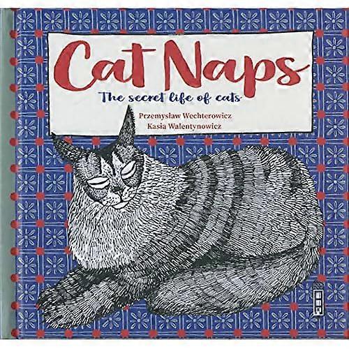 Tajomstvo životy mačiek