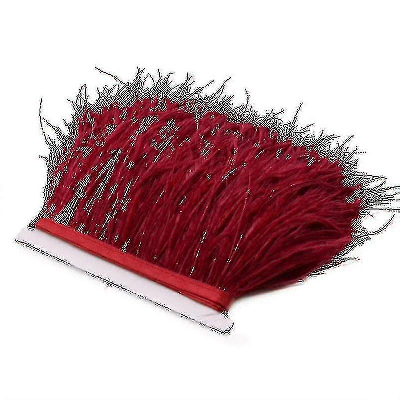 2m Ostrich Feathers Trim Plumes Ribbon Edging
