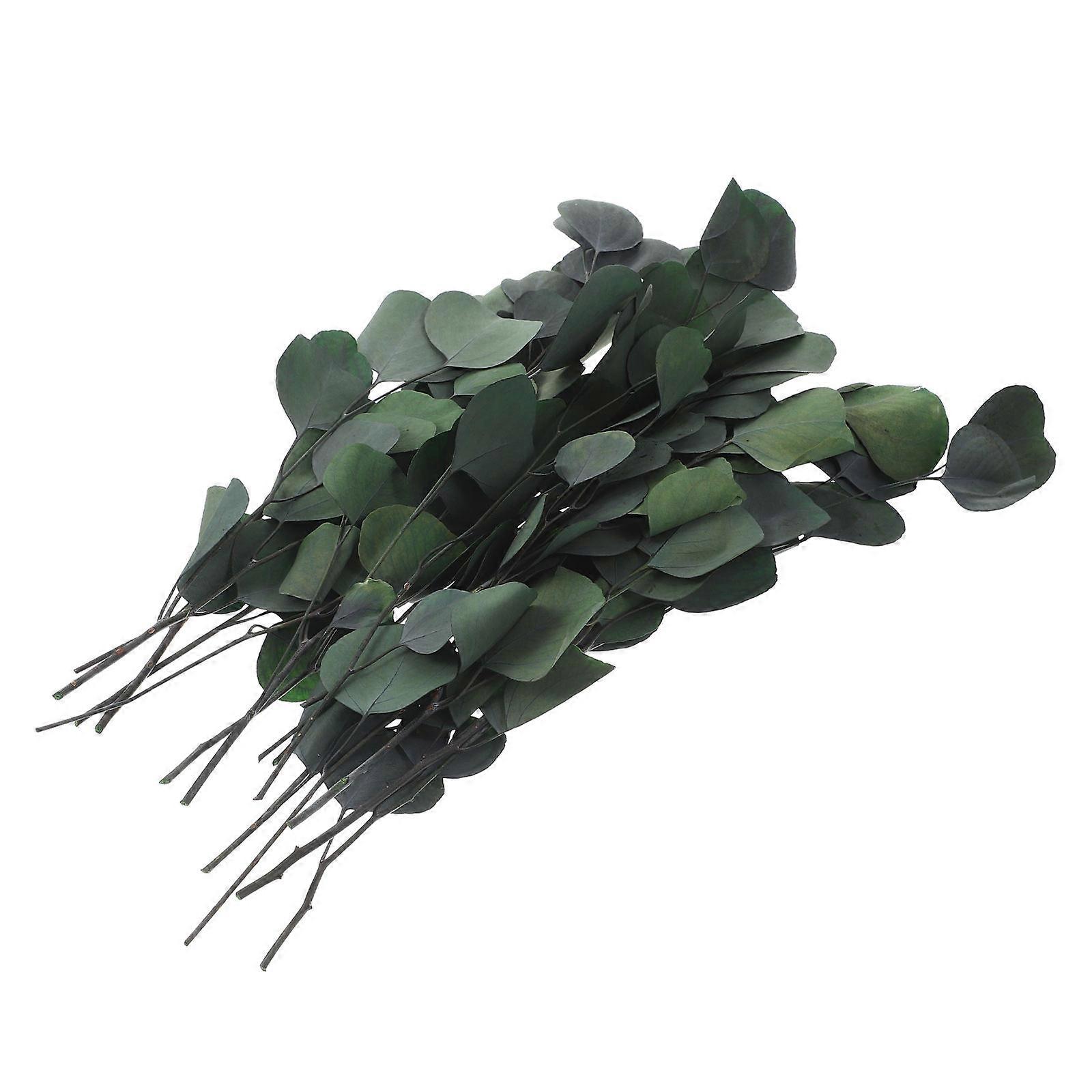 2Pcs Bundle Dried Eucalyptus Leaves Flower Vase Decor for Events