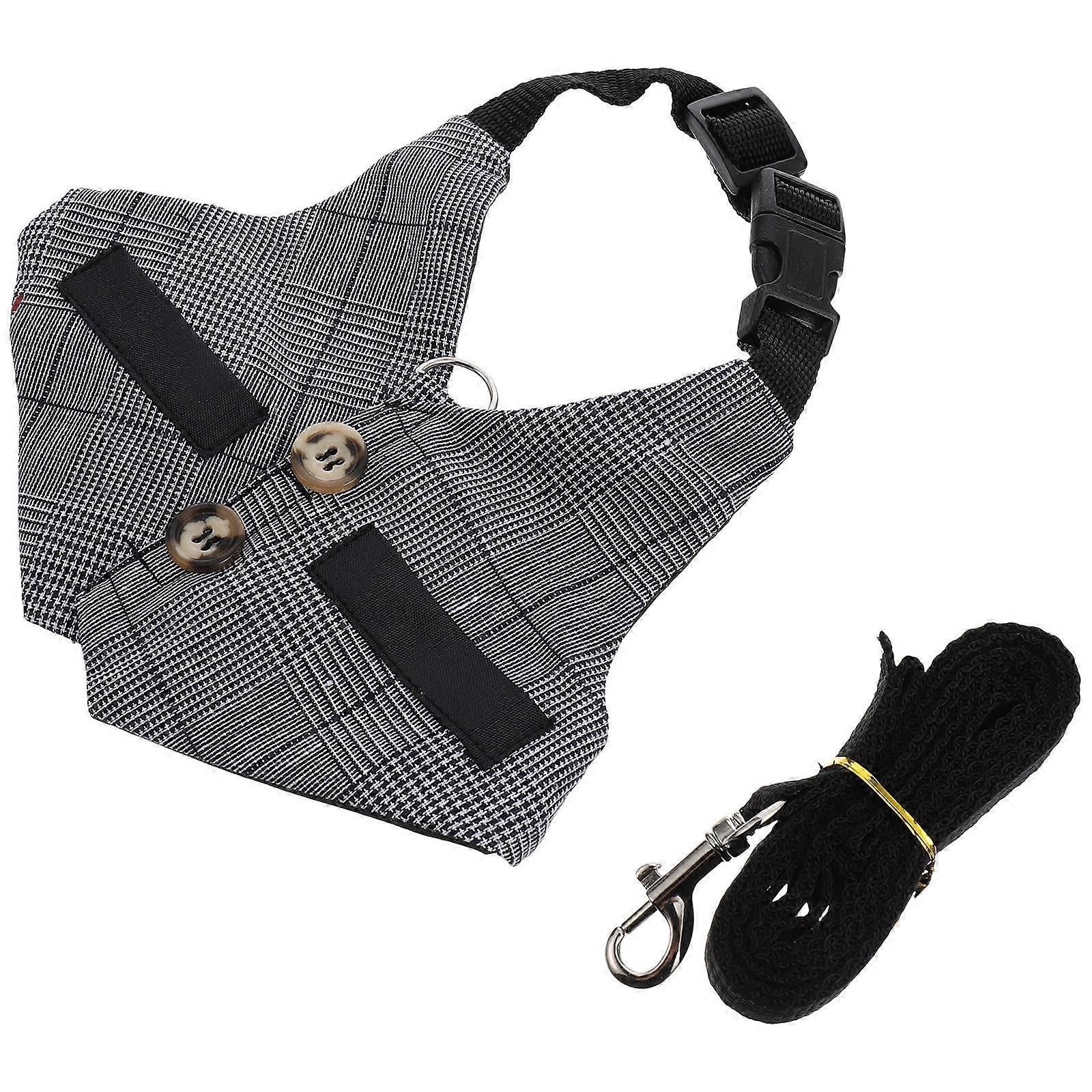 Rabbit Vest Harness with Leash for Small Animals in Practical Use