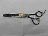 Professional Hair Cutting Scissors A10B6040I Classic Training Design for Students and Beginners