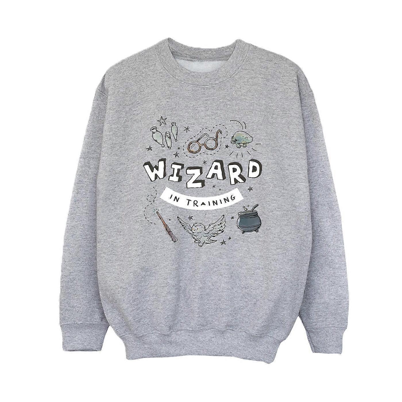 Harry Potter Boys Wizard In Training Sweatshirt