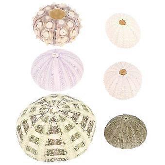 6 stuks zee-egel Decors Aquarium decoraties zee-egel ornamenten Desktop Decors gemengde stijl