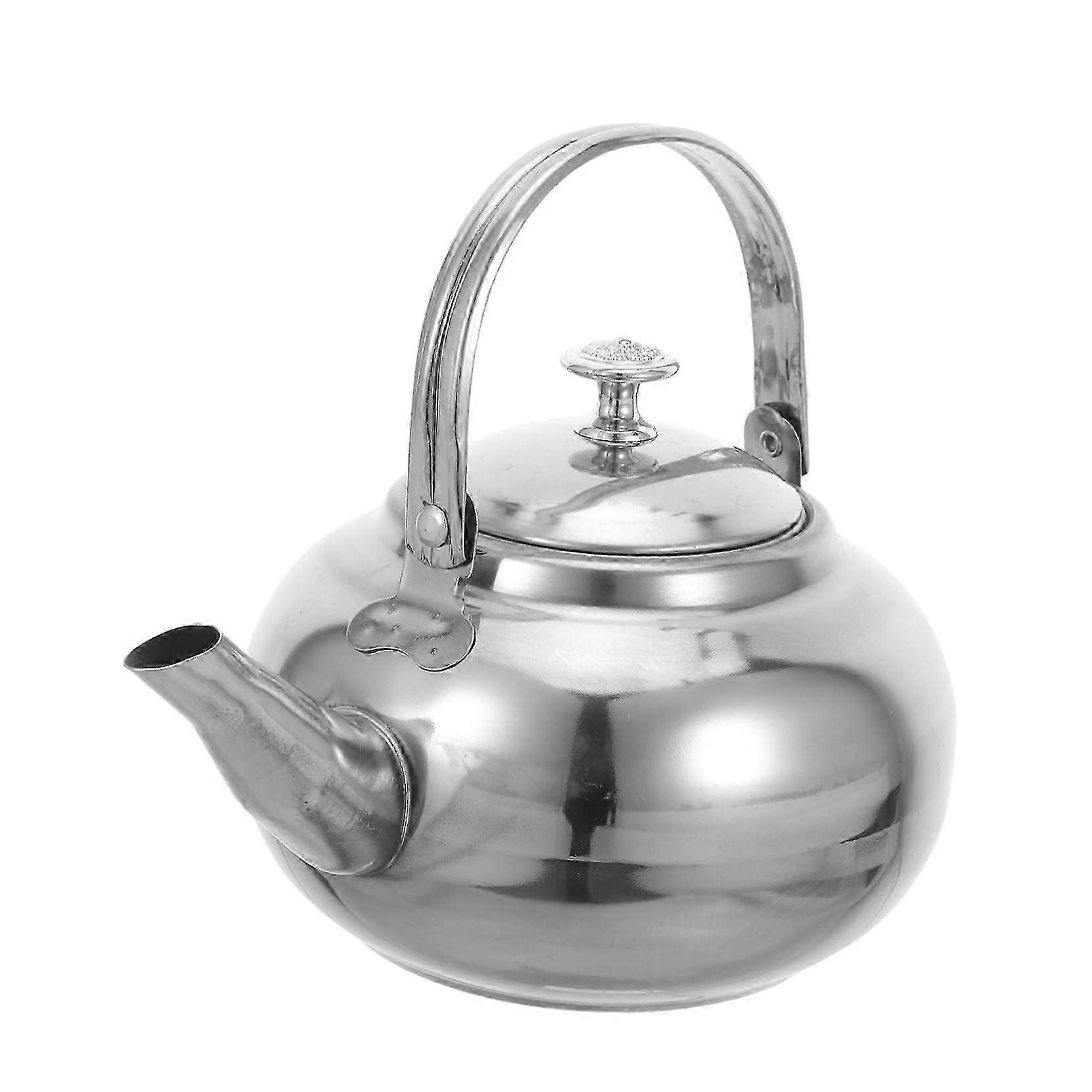 Fine Mesh Infuser Stainless Teapot