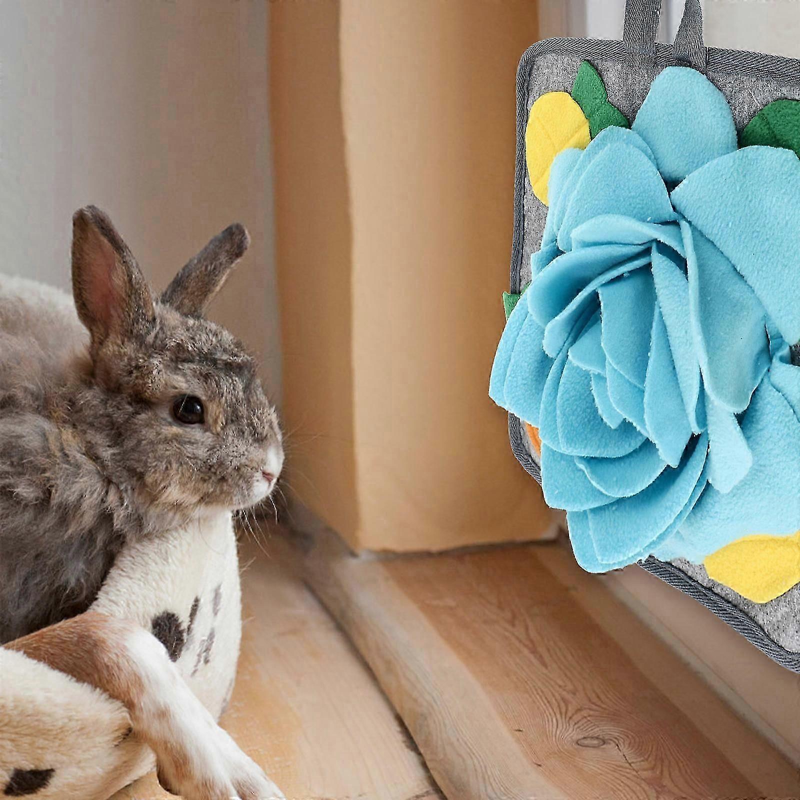 Rabbit Foraging Mat Interactive Nose Work Feeding 1Pcs For Pets
