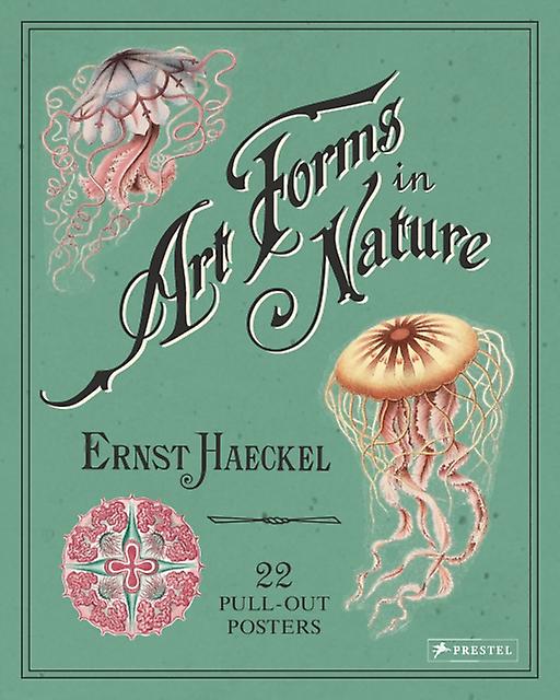 Ernst Haeckel Art Forms In Nature 22 Pullout Posters by Haeckel & & Ernst Paperback Book