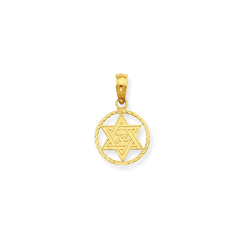14k Yellow Gold Solid Polished Religious Judaica Star of David In Circle Frame Pendant Necklace 18x11mm Wide-Pendant for