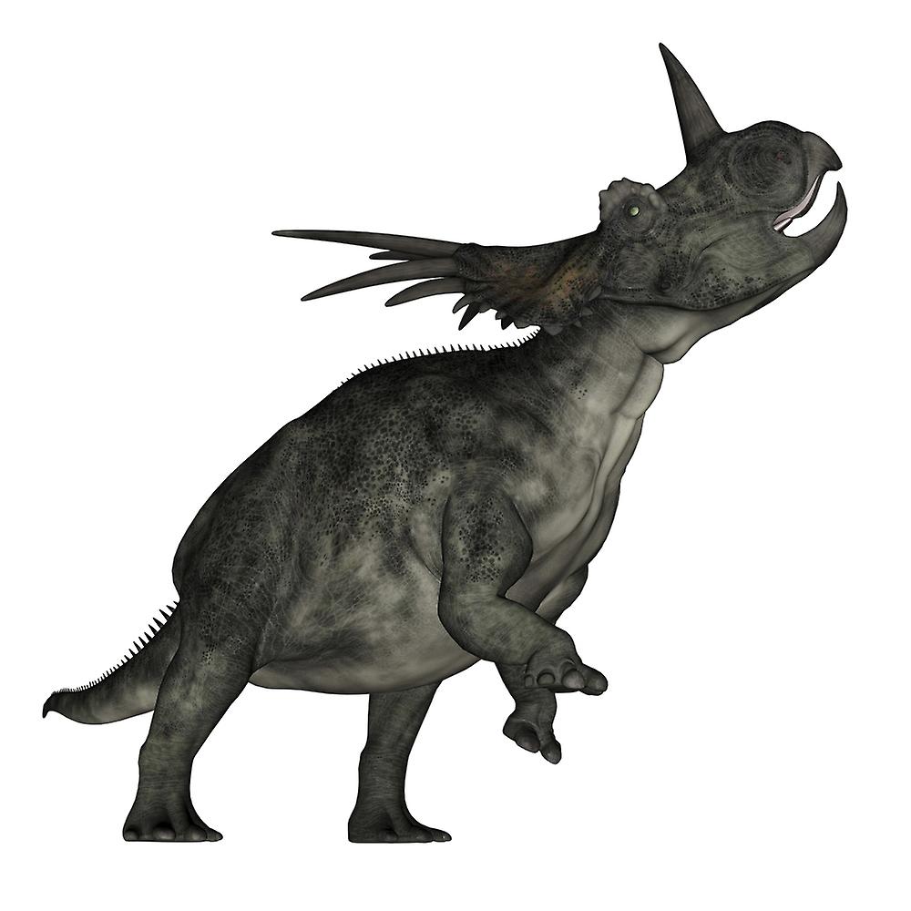 Styracosaurus dinosaur roaring. Poster