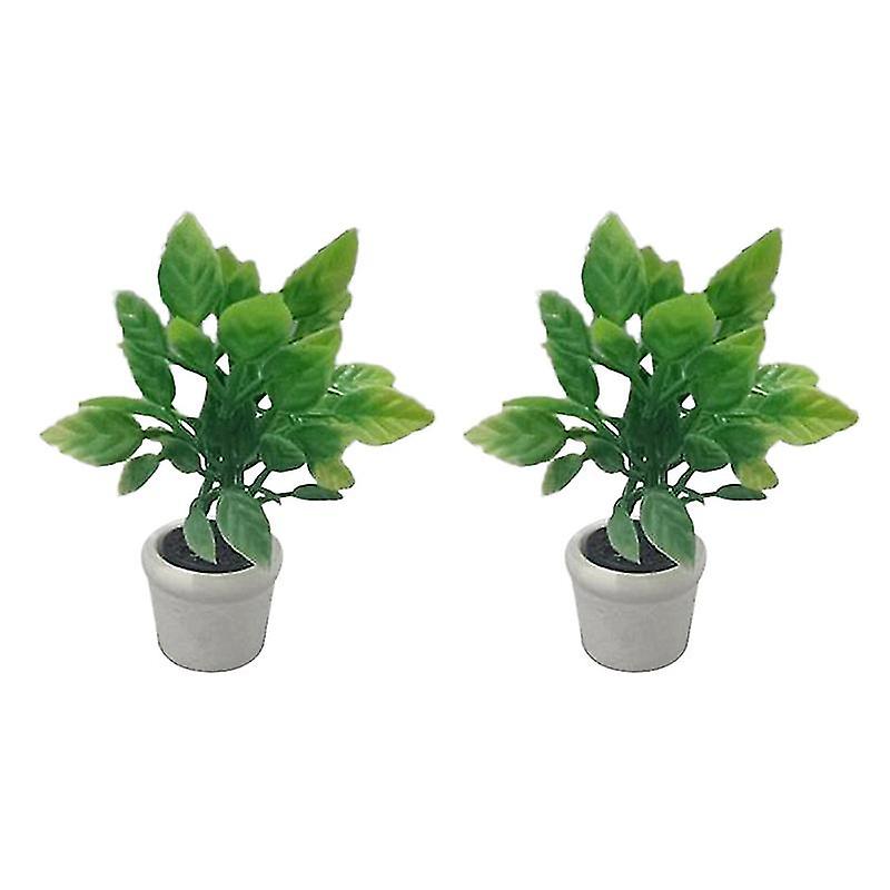 2pcs Mini Pot Plant