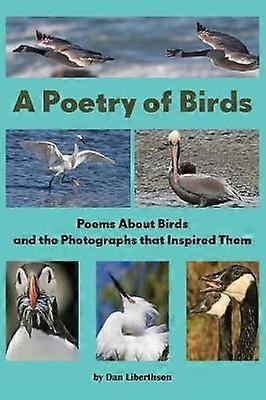 Une poésie des oiseaux