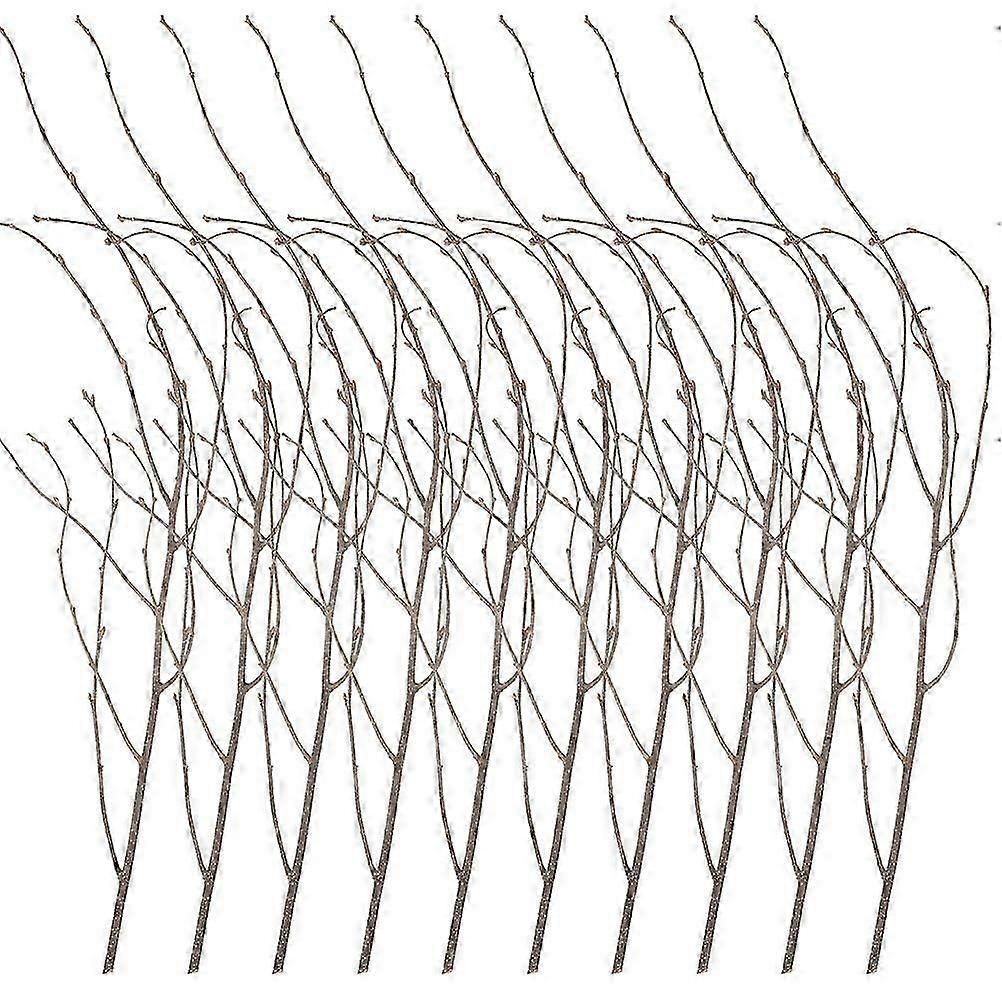 12Pcs Natural Dried Tree Branches DIY Birch Branches Flower Arrangement Branch