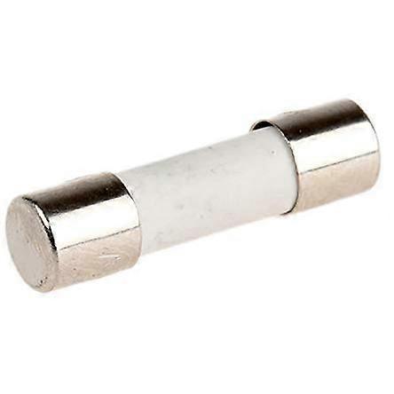 Micro Fuse F 10A 5x20mm 250V AC Ceramic Pack of 100 for Electrical Circuit Protection