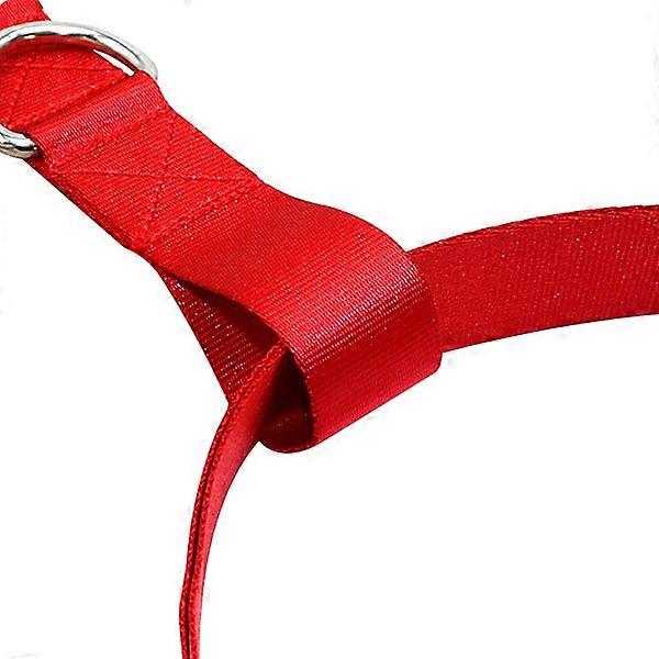 Pet Leash Waist Dog Leash Hands Free for Running Durable Red