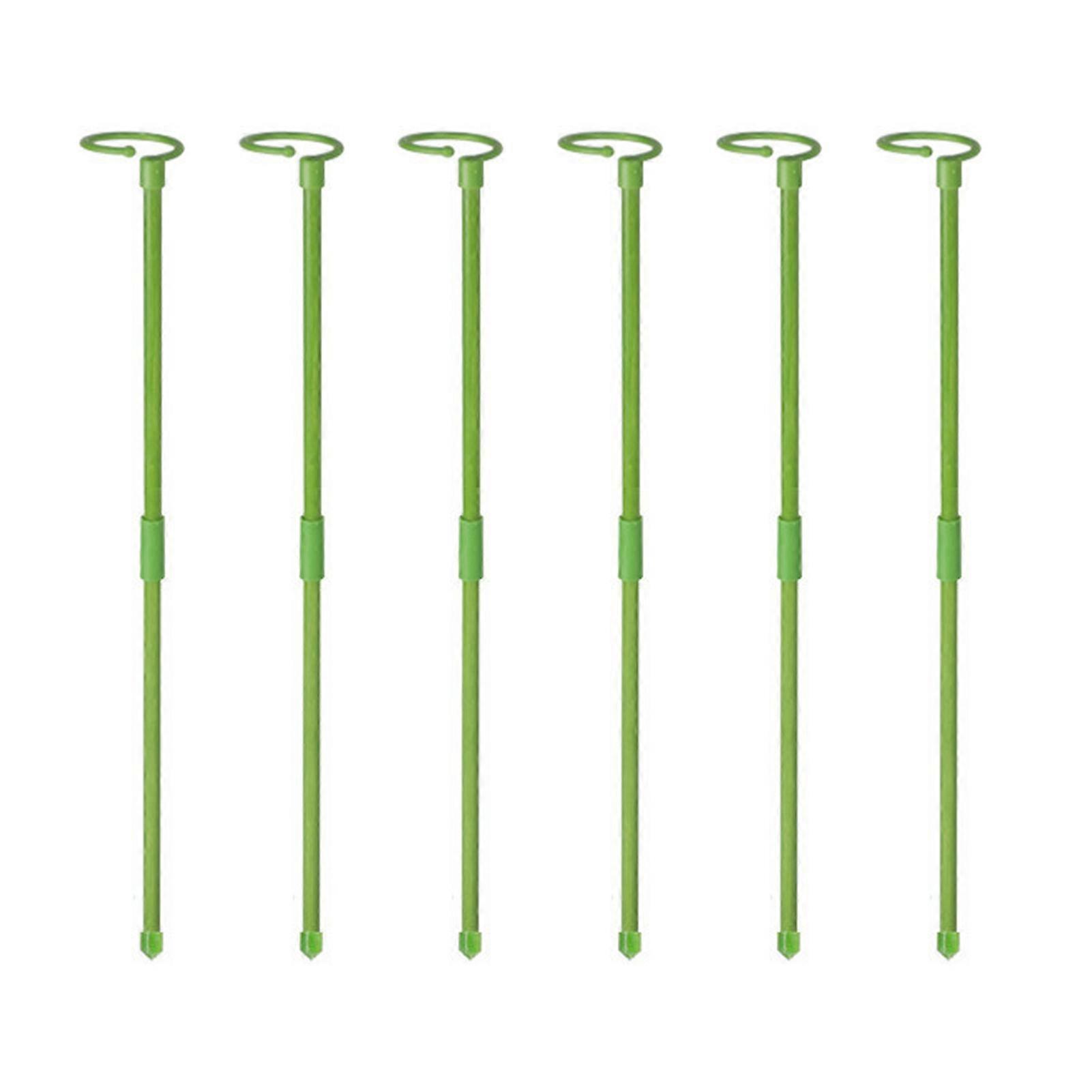 Extendable Plant Stakes with Ring Clips for Vegetables