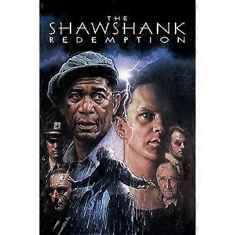 The Shawshank Redemption Movie 1994 90s Immersive Jigsaw Puzzles BD-2899