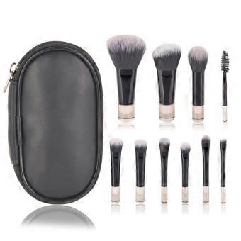 Travel Makeup Brushes 10, Black, Standard, Mini Professional Face and Eye Brushes, Pouch, Portable Makeup, Beauty