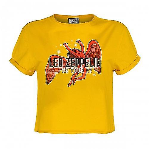 Amplified Womens/Ladies Icarus  Crop Top