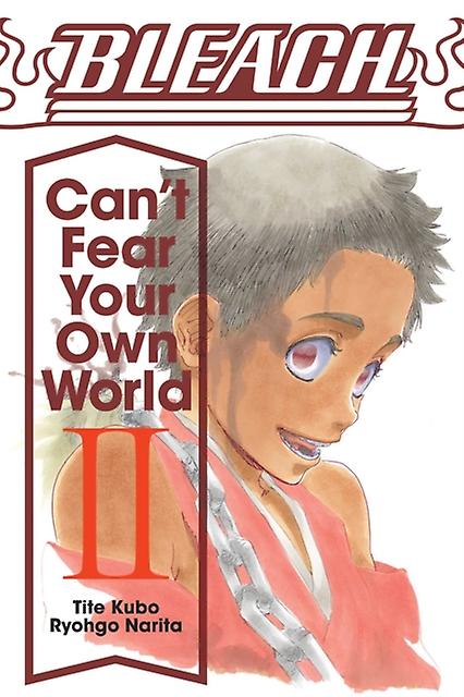 Bleach Cant Fear Your Own World Vol. 2 by Ryohgo Narita Paperback Book