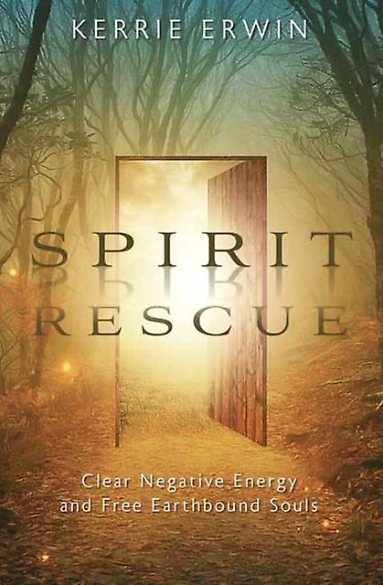 Spirit Rescue by Kerrie Erwin Paperback
